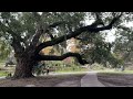 serene sundays 4k in new orleans exploring city park s tranquil beauty