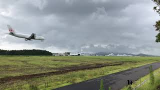 2020年9月1日撮影　鹿児島空港　JAL767