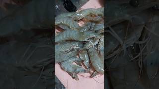 ചെമ്മീൻ എങ്ങനെ എളുപ്പത്തിൽ വൃത്തിയാക്കാം | How to clean Prawns | Perfect Prawns cleaning method |