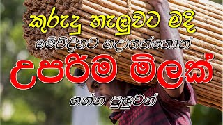 කුරුඳු නිවැරදිව හන්දි කර👉 මිටි ගැටගසා ගැනිම. (Episode 03)