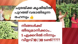 100% ഉത്തരം..കൂടുതൽ വിളവിന് പന്തലിൽ /നിലത്ത് പടർത്തണോ??