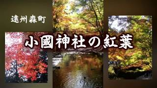 小國神社の紅葉（周智郡森町）｜HTC ドライブ観光スポット