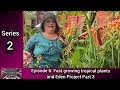 Freya's Tropical Garden S2 E6: Fast Growing Tropical Plants and Eden Project Part 3