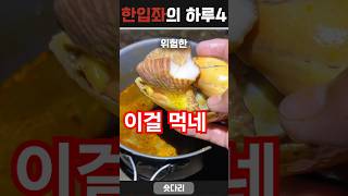 🐚 한입좌의 하루 4🦐