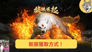 【狼族崛起 wolf game the wild kingdom】新狼族英雄獲取辦法！cp值超高的33週禮包！《冷月遊戲》