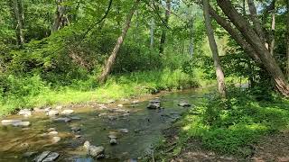 Creation Trail, Marilla, NY