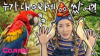 누가 내 머리에 똥쌌어?! | 말하는 새를 만나다! | parrot | 엘리가 간다