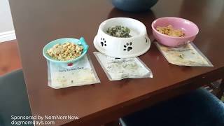 How to make your dog or cat loves Veggies... NomNomNow did it for you