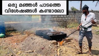 മഞ്ഞൾ പറിച്ചു പുഴുങ്ങി ഉണക്കി എടുക്കുന്നത് കണ്ടാലോ