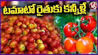 Tomato Farmers Facing Problems Due To Price Drop | Tomato Price | V6 News