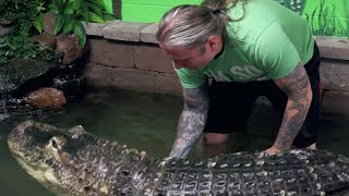 GETTING in the WATER with my BIG PET ALLIGATOR!! why not? | BRIAN BARCZYK