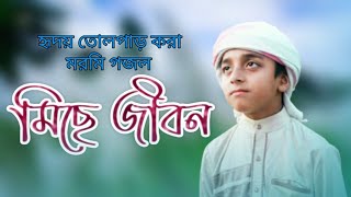 হৃদয় তোলপাড় করা মরমি গজল | Miche Jibon | মিছে জীবন | Muhammad Abqside Ashike Rasul