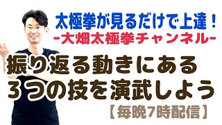 【毎晩7時配信】24式太極拳｜振り返る動きの中に隠されている技