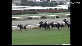 【神戸新聞杯競馬予想】本命はさらに成長を続けてるダービー3着馬！