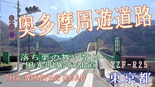 奥多摩周遊道路　久々のツーリング　バイクに乗るのも久しぶり、おっかなびっくりでへぼライダーが行く！