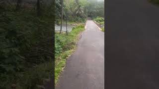 ബാവലി പുഴയും അതിന്റെ മനോഹാരിതയും