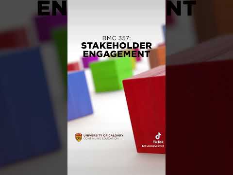 Do you use stakeholder engagement to improve communication channels and project success?