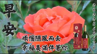 台南/康豐酵素/九天玄武酵素/健康/早安圖/幸福美滿伴著你