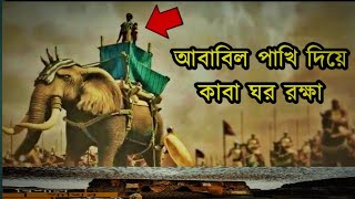 আল্লাহ আবাবিল পাখি দিয়ে যেভাবে 'কাবা' ঘর রক্ষা করেছিলেন।।।।Nobodut Islam