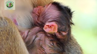 Adorable mommy really trying hard to hug  baby carefully