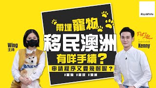 【寵物移民】專家話你知！帶埋寵物移民澳洲有咩手續？申請程序又要幾耐呢？ | #寵物 #移民 #澳洲