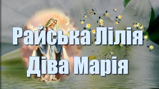 Райська Лілія Діва Марія