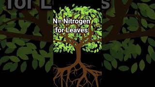 REMEMBER N.P.K. nitrogen, phosphorus and potassium. #botany #plants #agriculture #fertilizer