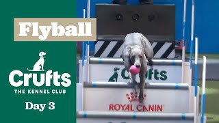 YKC Flyball finals followed by Team quarter finals | ​Crufts 2025