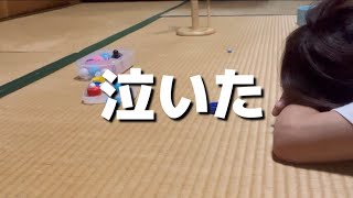 セキセイインコとサザナミインコが相手にしてくれないから泣いた