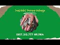 Jual Bibit Gurame Sidoarjo - Hub. 0817.313.777 HP/WA