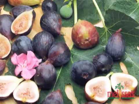 What to do with lots of fresh figs?