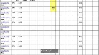 Maximo Web - Time Entry