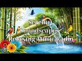 Serenity Soundscapes - Relaxing Music Radio - Relaxation Mix