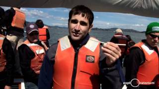 Science in the City: Sea Debris
