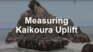 Measuring uplift along the Kaikoura coast