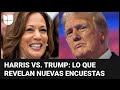 Harris vs. Trump: lo que revelan nuevas encuestas sobre la campaña electoral en Estados Unidos