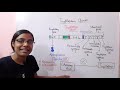 tryptophan operon in hindi trp operon m.sc. microbiology @all about biology