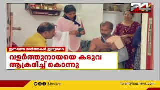 ബത്തേരിയിൽ കടുവയുടെ ആക്രമണം; വളർത്തുനായയെ ആക്രമിച്ച് കൊന്നു