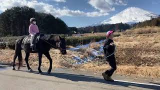 御殿場ビッグマウンテンランチ　日帰り乗馬　１