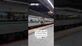 パンダくろしお －サステナブルSmileトレイン－ #新大阪駅