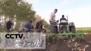 《我爱发明》 甜园能手 20180618 | CCTV科教