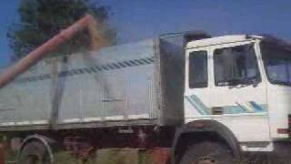 m135 scarico grano.mp4