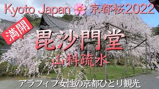 京都桜2022🌸【毘沙門堂・山科疎水】満開の毘沙門しだれでお花見をするアラフィフ女性の京都桜観光（kyoto,Japan,Cherry Blossoms）