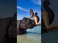 #beautiful #bikini #girl  with #eliphant