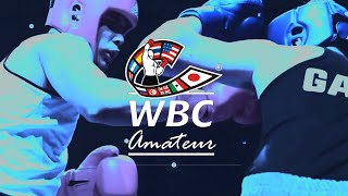 WBC amateur- The best of amateur boxing in the uk- Amateur boxing alliance