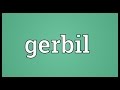 Gerbil Meaning