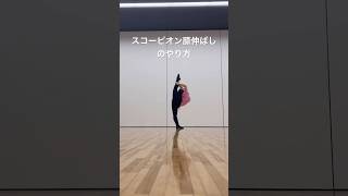 スコーピオン膝伸ばしのやり方　#チア #チアダンス #チアリーダー #shorts