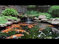 exploring the art of wabi sabi inspired courtyard design u0026 the enchanting koi pond s natural beauty