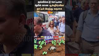 Alanganallur Jallikattu | Tamilans Traditional | Pongal Festival | Australia | Madurai | Foreigners