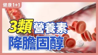 3類營養素 降膽固醇 | 健康1+1 · 直播精選